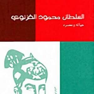 السلطان محمود الغزنوي